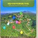 서귀포자연휴양림1 | 🌲 서귀포자연휴양림 법정악 전망대 &amp; 캠핑장 산책 코스