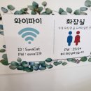 소나캣 | 수원 고양이 미용 소나캣