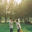 달물결