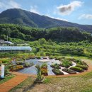 대인농장 이미지