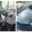 산촌버섯마을 이미지