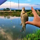 (주)아르스플러스 이미지