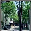 세무회계택스나 네이버블로그