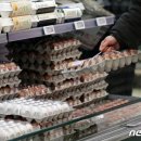 김진환농장 이미지