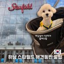동일애견샵 | 하남 스타필드 애견동반 완벽 가이드 (개모차 대여, 동반 식당 &amp; 카페, 펫파크 총정리)