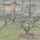 안골농장 이미지