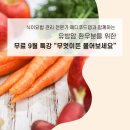 원메디랩 이미지