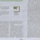 타오팜