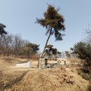 순성 화유옹주 태실 이미지