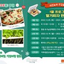 호남 스마트 팜 이미지