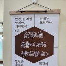 양지촌 - 용인시 처인구 죽양대로 2301-4 | 양지촌