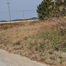 【무안망운면토지】전라남도 무안군 망운면 송현리 바닷가토지매매합니다. 이미지