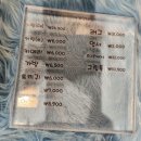 롯데월드 슬릭스튜디오 후기. 포토존들, 굿즈.