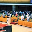 금란솔로몬 이미지