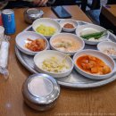 순천만국제습지센터 2층 소회의실 화장실 | [19.11.24] 여수와 순천 뚜벅이 둘째 날 👍