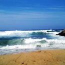 동화 속 바다여행 이미지