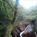 천태산주차장 이미지