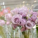 수지플라워 이미지