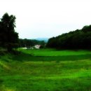 횡성한우타운 이미지