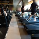 베스트 피트니스 이미지