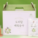 도리담