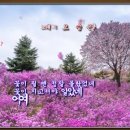당신의노래방 이미지