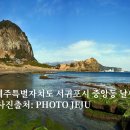 정방동-01 티스토리