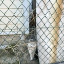 가평라온빌스파&독채펜션 | 가평 남이섬 여행 라온빌스파앤독채펜션