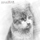 데생&스케치 이미지