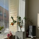 경인로1148번길 이미지