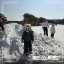 겨울 끝자락 스노위랜드, 2월 말 신나게 즐긴 여행 후기