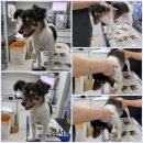 경서동물병원 이미지