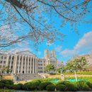 영남대학교 임상약학대학원 이미지