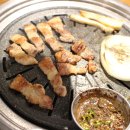 고기좋은날