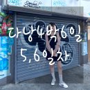 에스포피 이미지