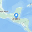 비자인행정사사무소 이미지