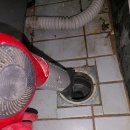 동성백두 이미지