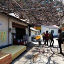 등나무집민박 이미지