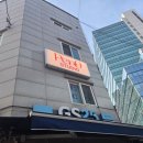 나인유치원 | 고양이 프로필사진 촬영 용리단길 사진관 펄나인스튜디오 후기 🐱