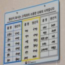 싱싱산오징어회타운 이미지