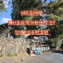 제주도 여행 아이들과 함께 꼭 가면 좋은 곳 1순위 추천! 김녕미로공원