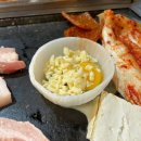 탐라도야지2 이미지