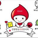 8월 23일 (강원방울) 헌혈캠페인 및 환경정화 활동 이미지