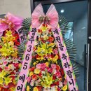 원도요양병원 이미지