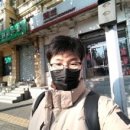 여행하는곰