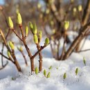 햇빛아이한의원 이미지