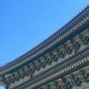 또또뽀기 네이버블로그