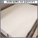 포르페 냉감패드 국산 공감도씨 냉감패드 후기