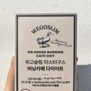 위고슬림 미스터구스 버닝카페 다이어트 직접먹어본 후기!