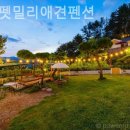 펫밀리펜션 이미지
